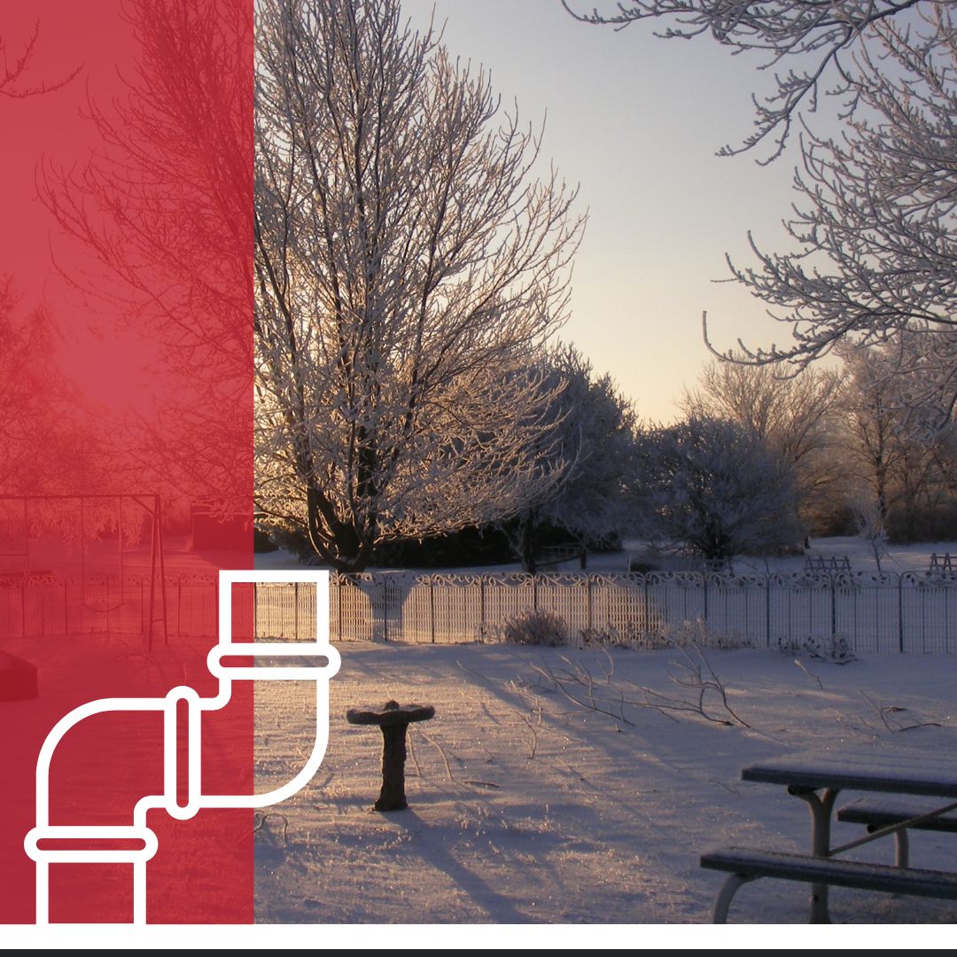 snowy ground, backyard or park