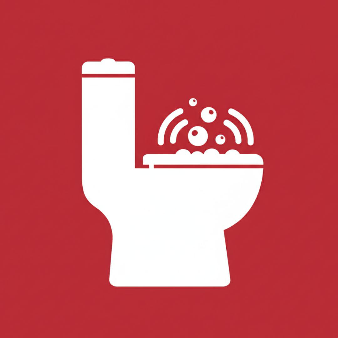 gurgling noises from toilet icon