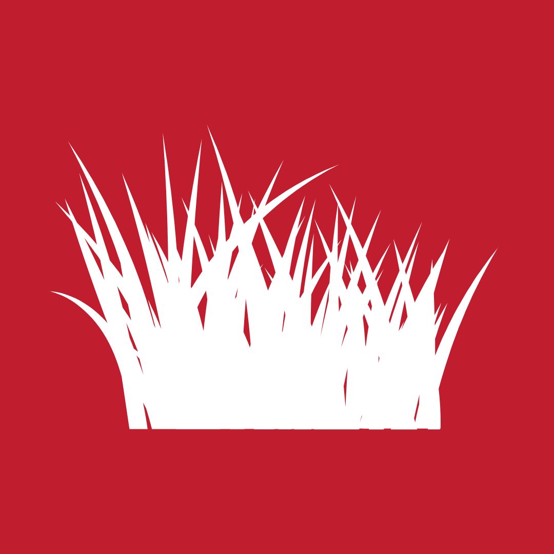 grass icon